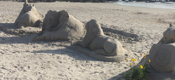 sandart4