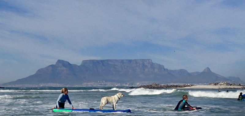 Atlantic Surf