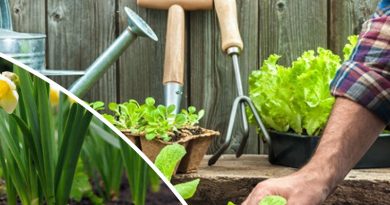 gardening in march