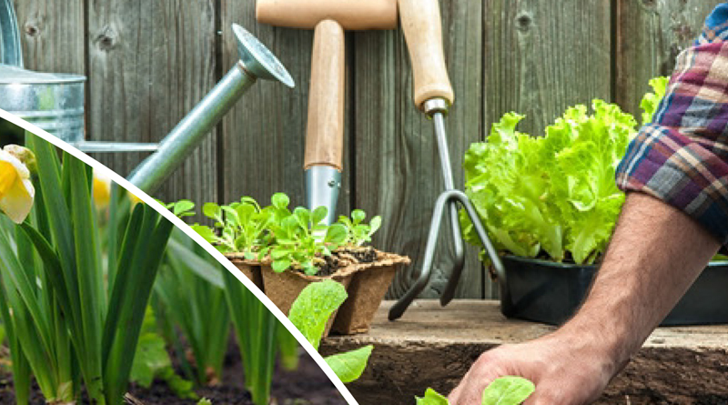 gardening in march