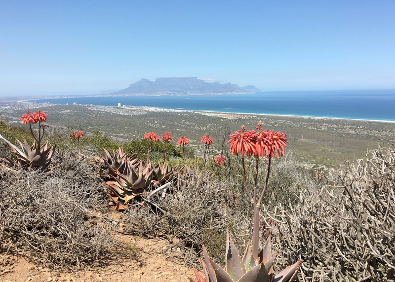 Blaauwberg Heritage Site